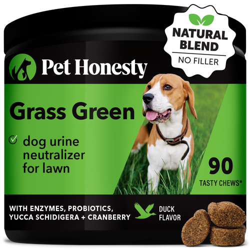 Grass Green (Duck Flavor) Single PetHonesty
