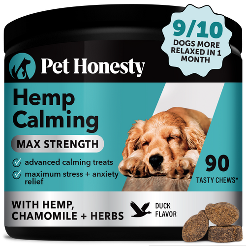 Calming chews for dogs hotsell