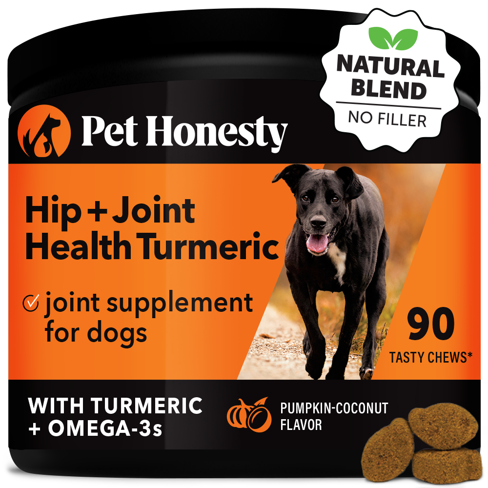 Hip + Joint Health Turmeric (Pumpkin Coconut Flavor) Single PetHonesty