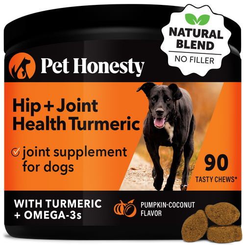 Hip + Joint Health Turmeric (Pumpkin Coconut Flavor) Single PetHonesty