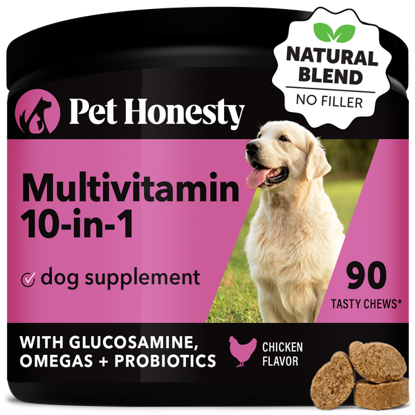 Best all in top one dog supplement