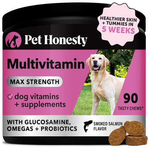 Dog ate multivitamin new arrivals