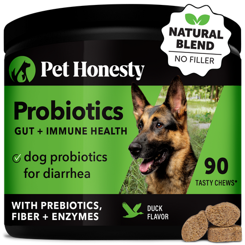 Best probiotic for puppy online with diarrhea
