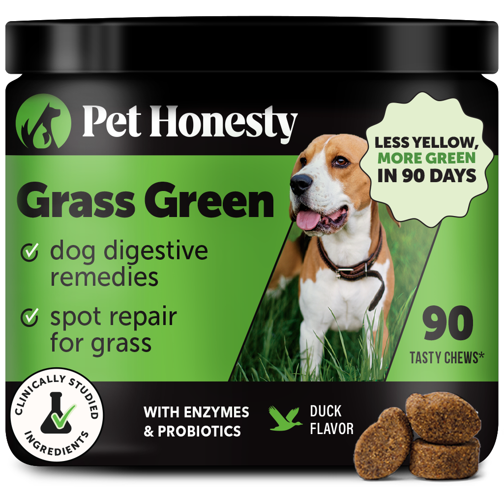 Grass Green (Duck Flavor)