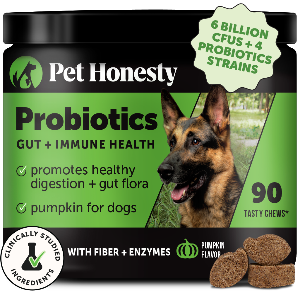 Gut + Immune Health Digestive Probiotic Chews for Dogs (Pumpkin Flavor)