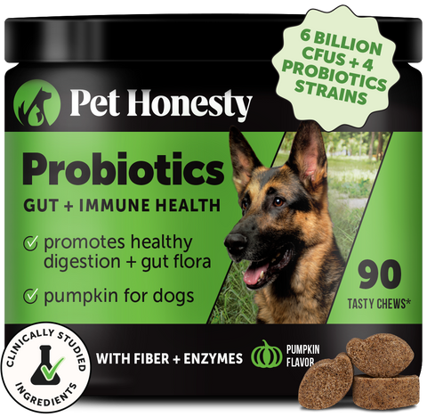 Probiotics Gut Immune Health (Pumpkin Flavor) Pet Honesty
