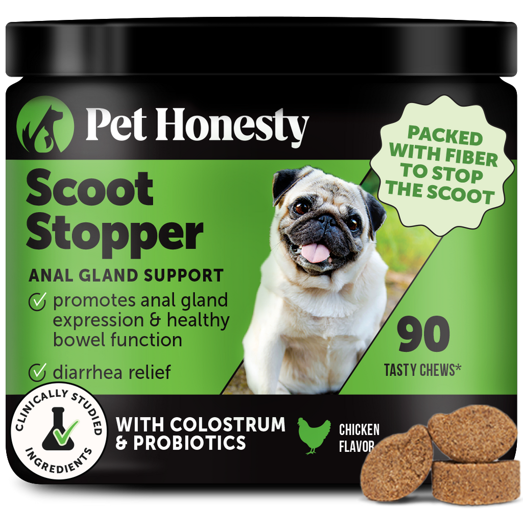Scoot Stopper Chews for Dogs | Pet Honesty