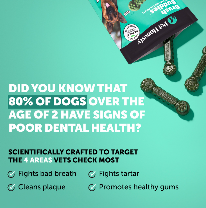 Brush Buddies All-Natural + Long Lasting Dental Treats for Large Sized Dogs - 3 Pack (24 Count)