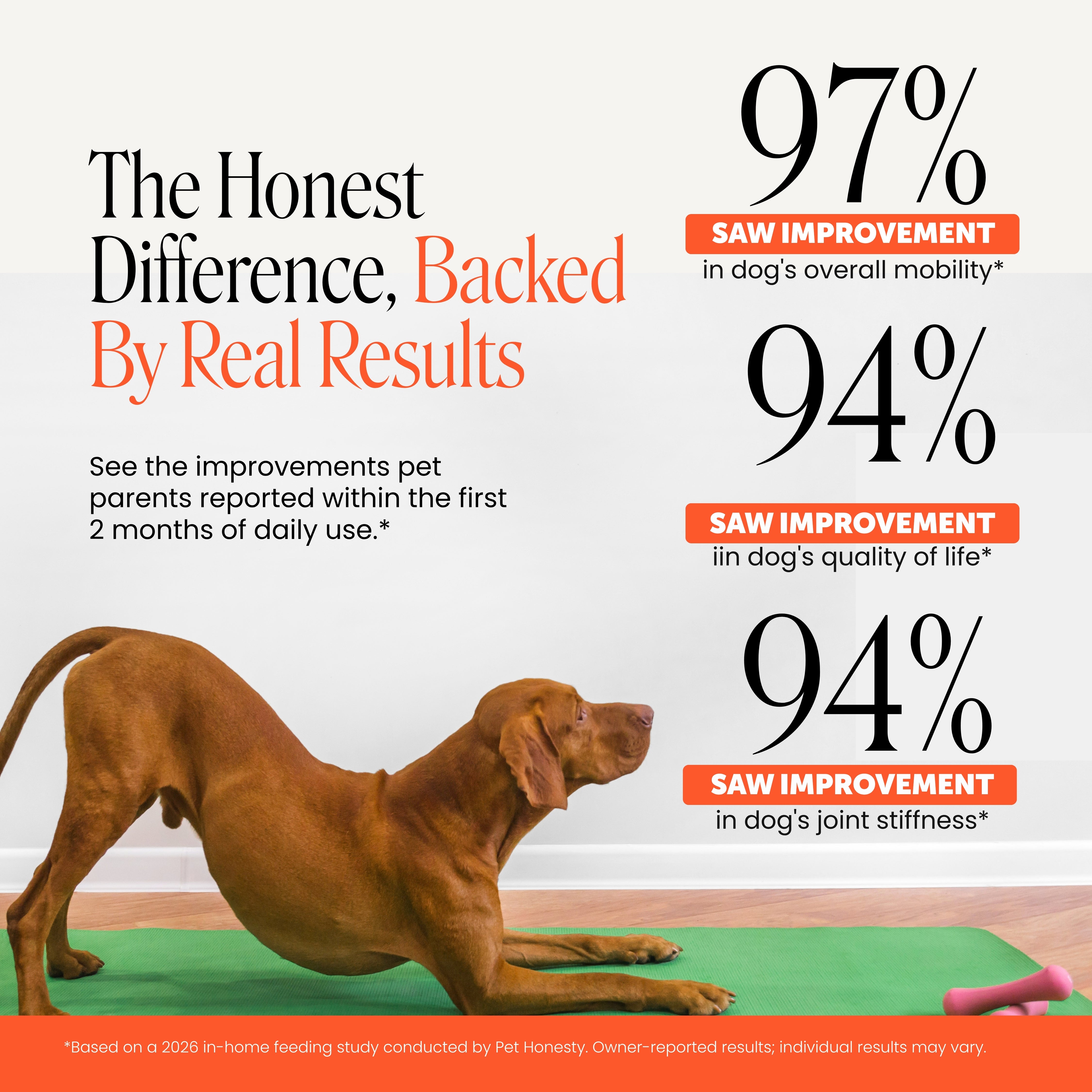 Hip + Joint Health for Dogs (Peanut Butter Flavor)
