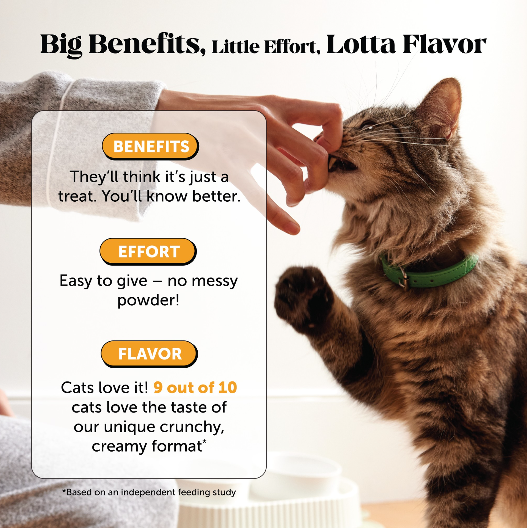 Dual Texture Immune Support Lysine for Cats 2-Pack (Chicken Flavor)
