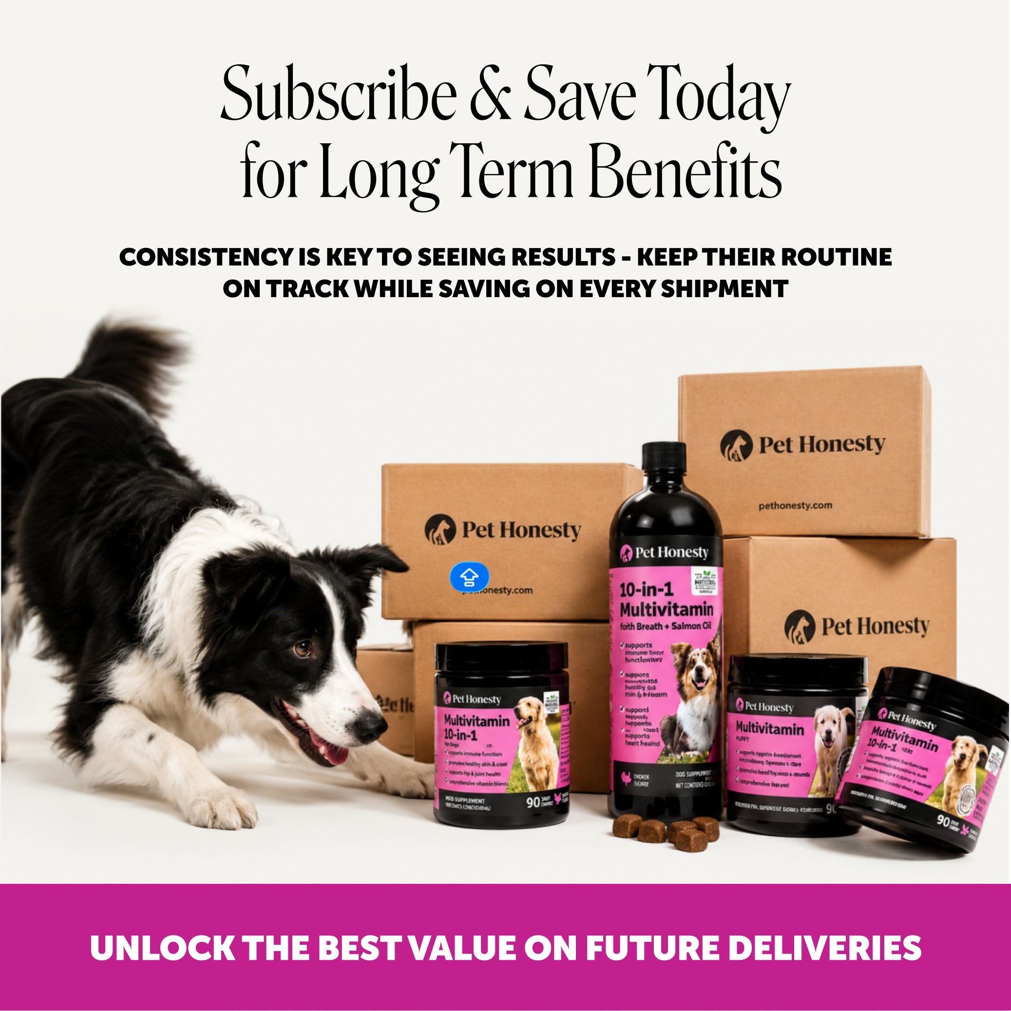 Puppy Multivitamin Chews (Bacon Flavor)