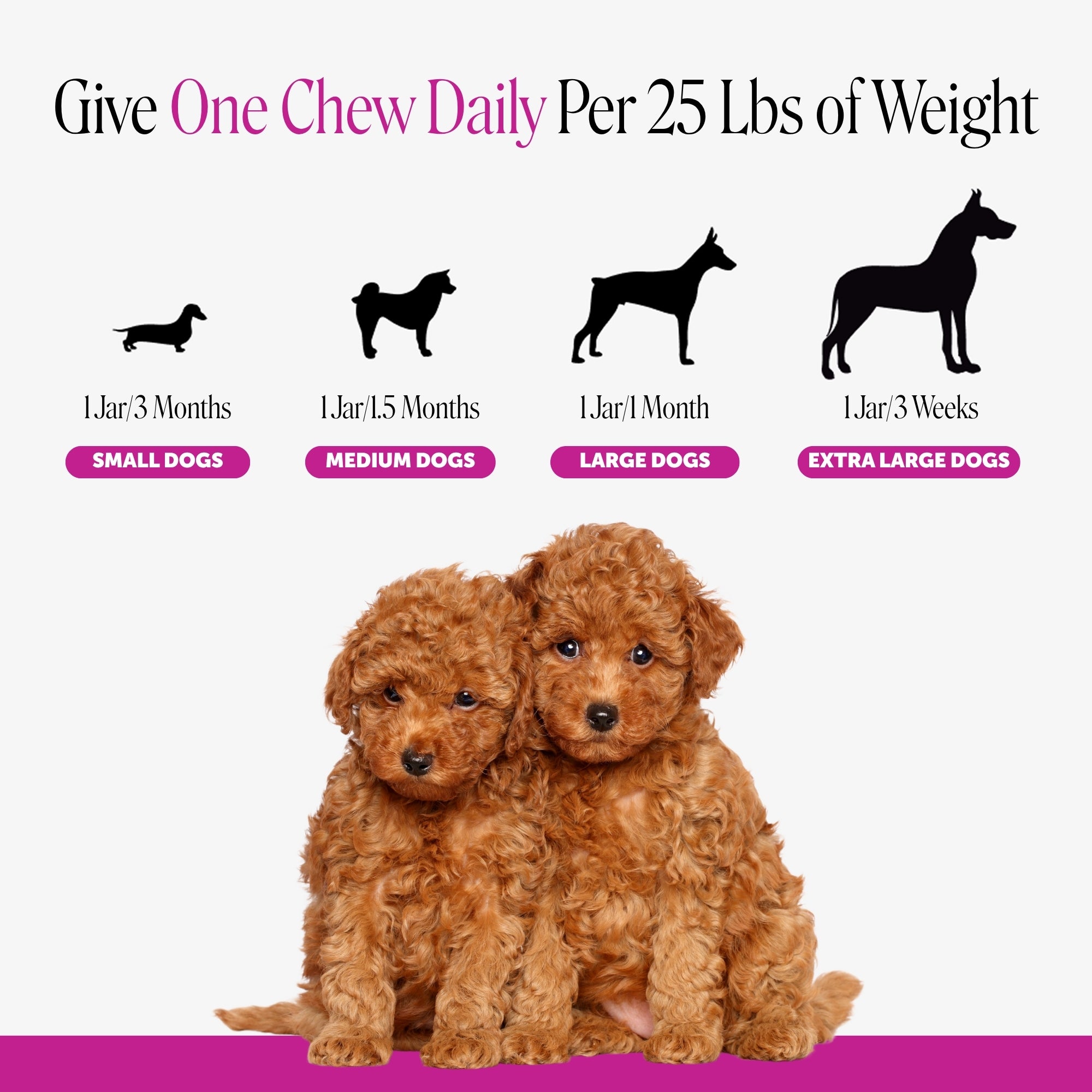 Puppy Multivitamin Chews (Bacon Flavor)