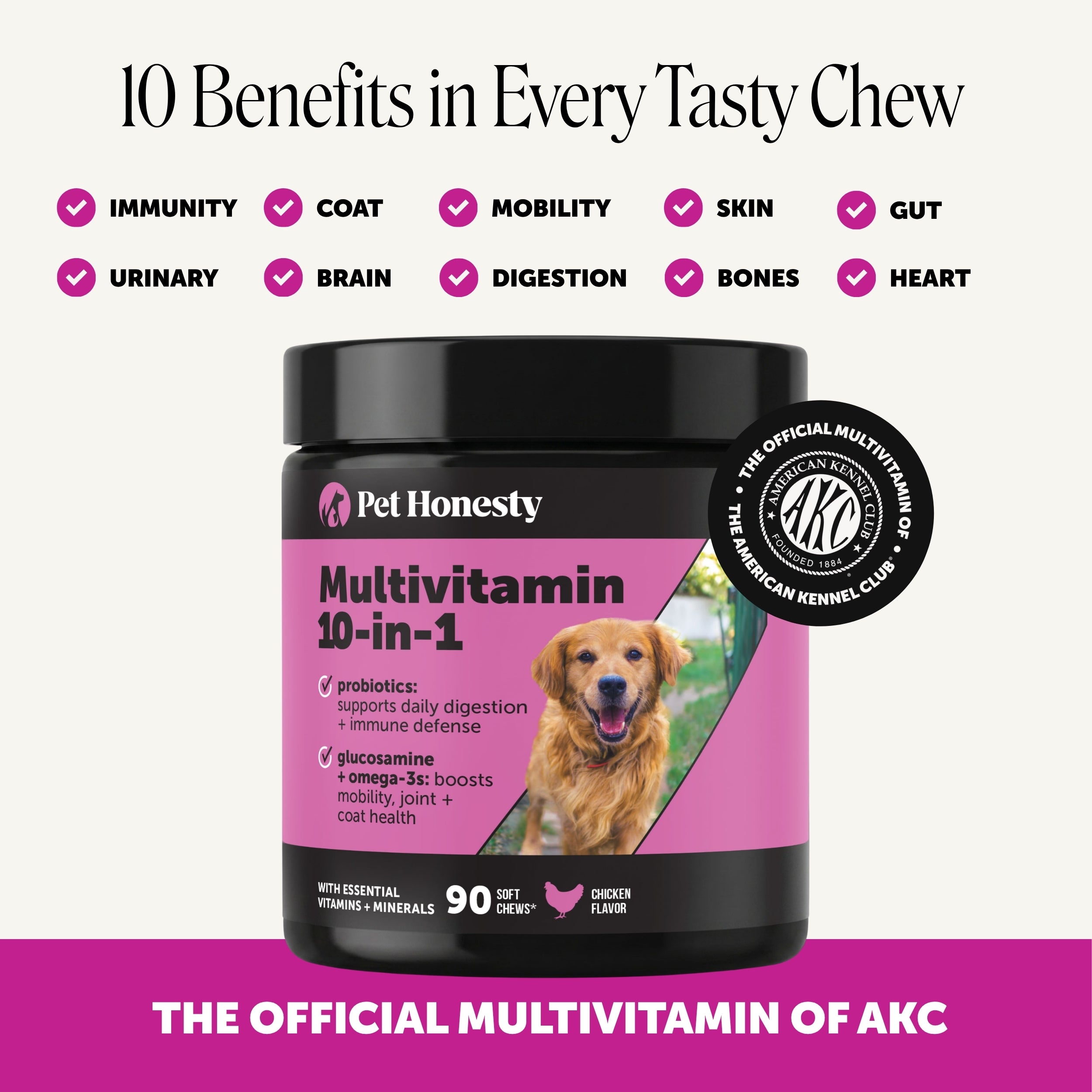 Multivitamin 10-in-1 Chews for Dogs (Chicken Flavor)