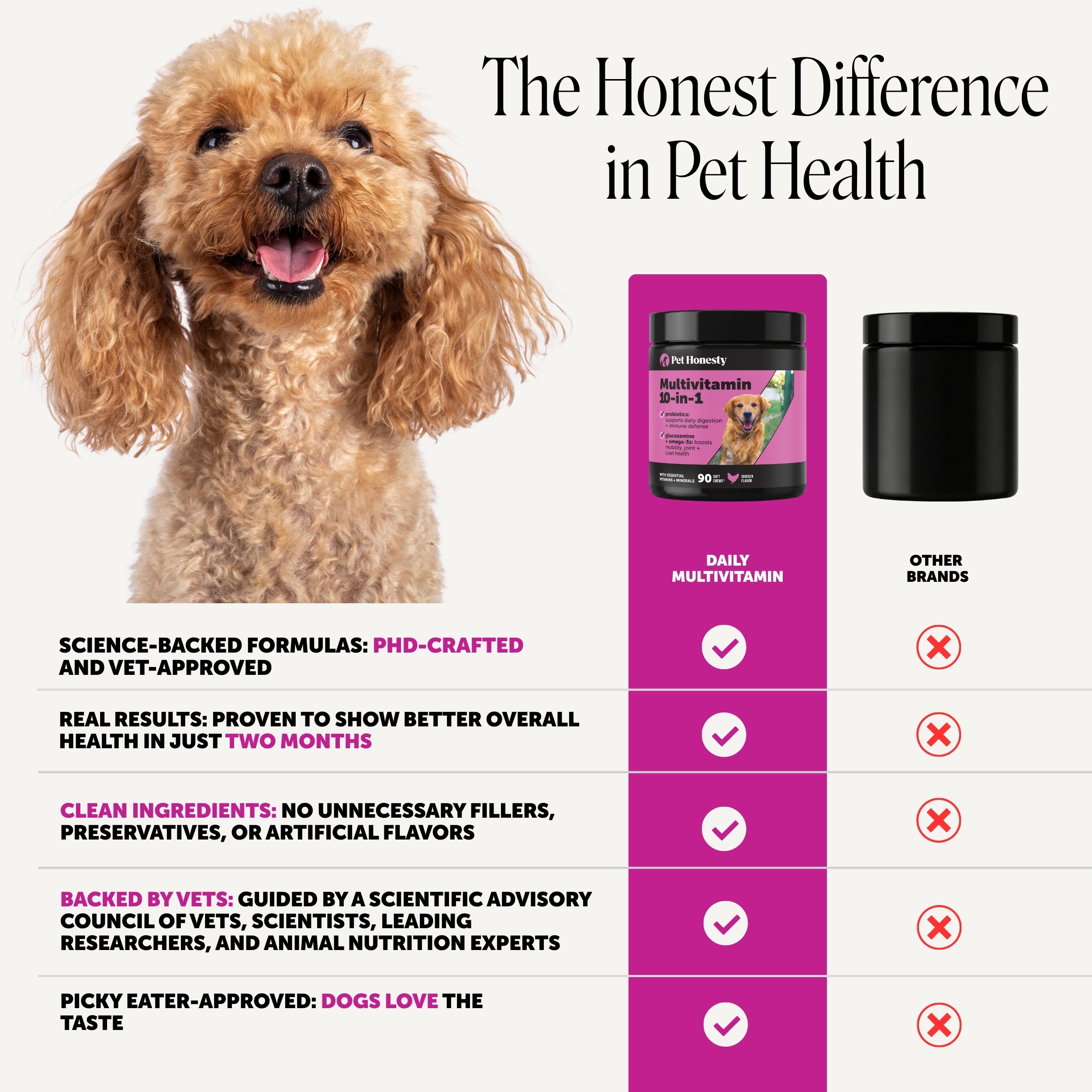 Multivitamin 10-in-1 Chews for Dogs (Chicken Flavor)