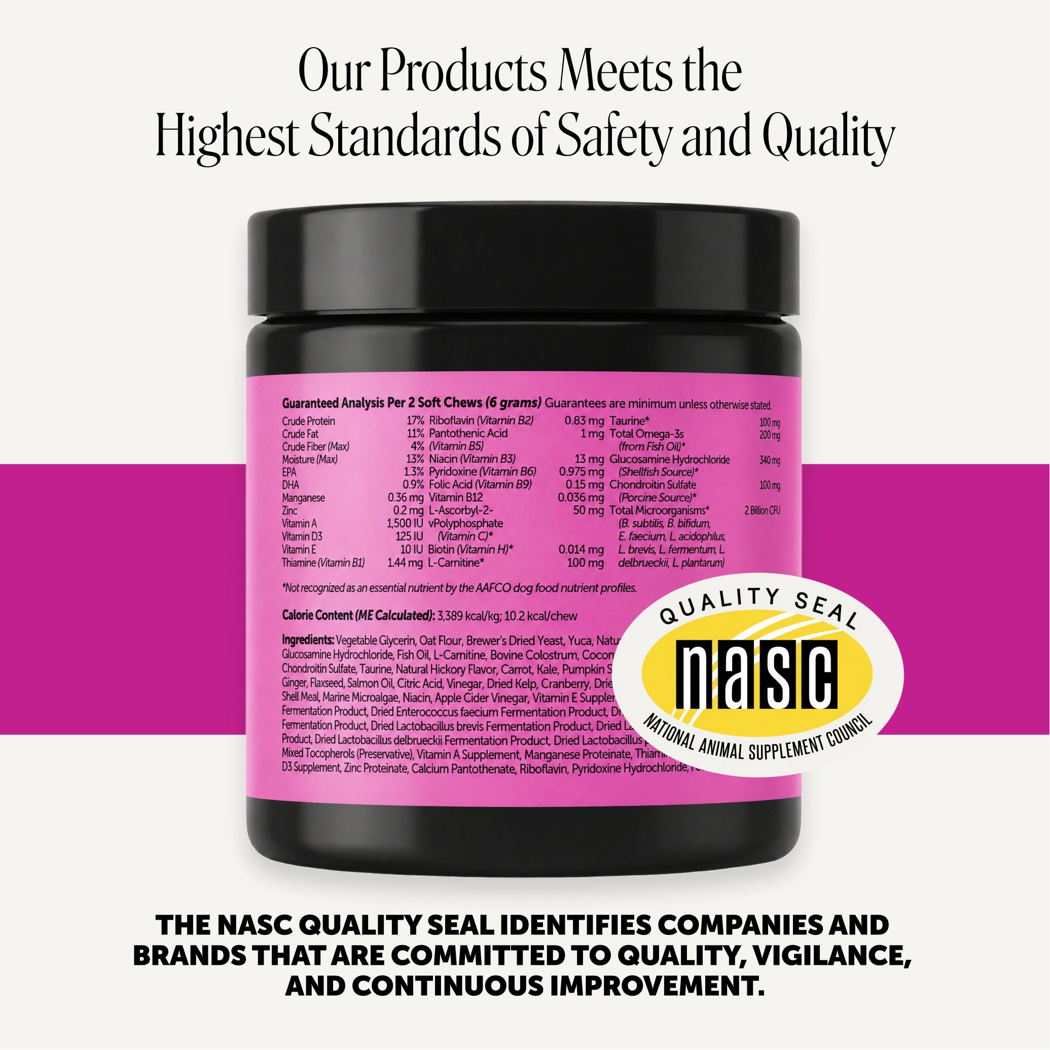 Multivitamin Max Strength for Dogs (Salmon Flavor)