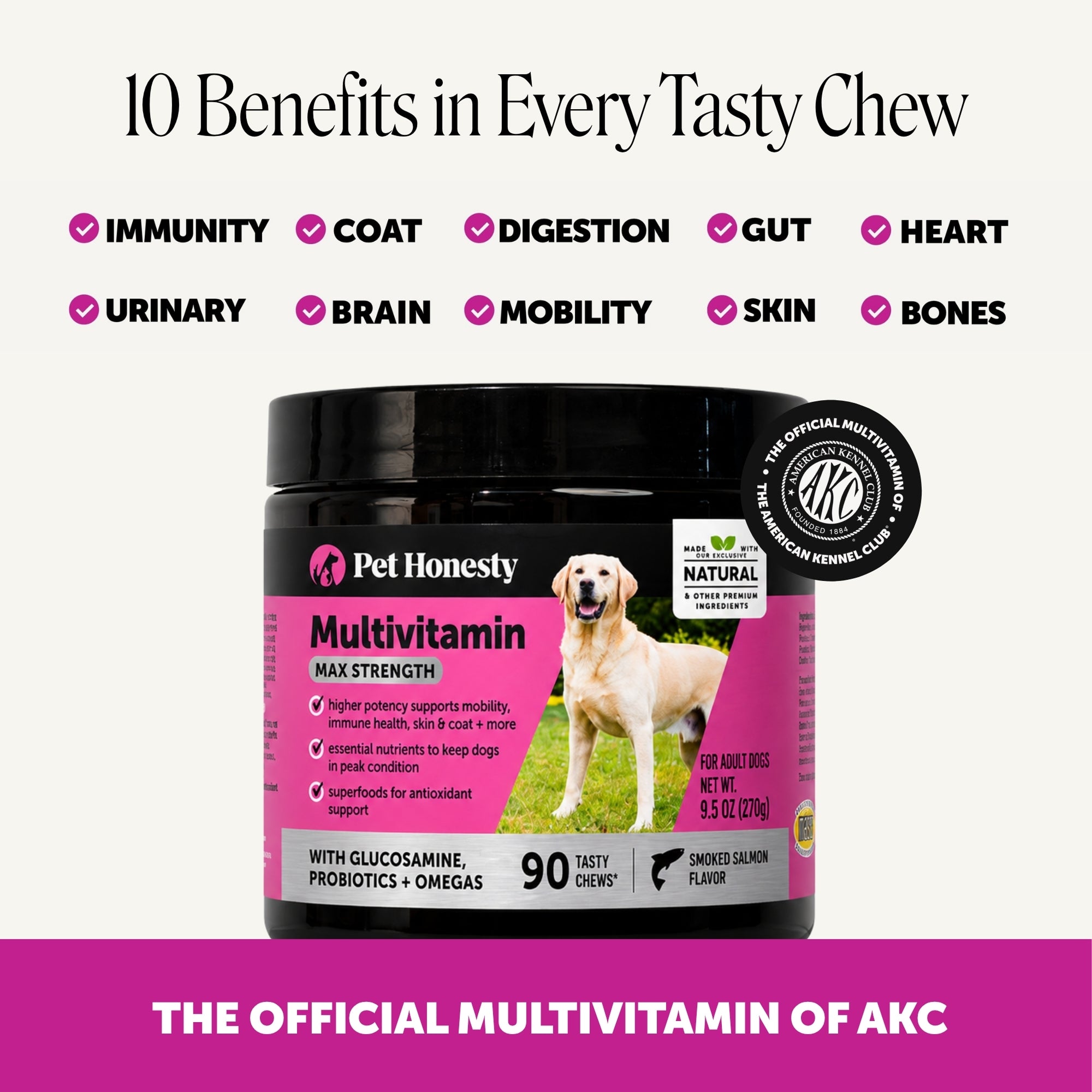 Multivitamin Max Strength for Dogs (Salmon Flavor)