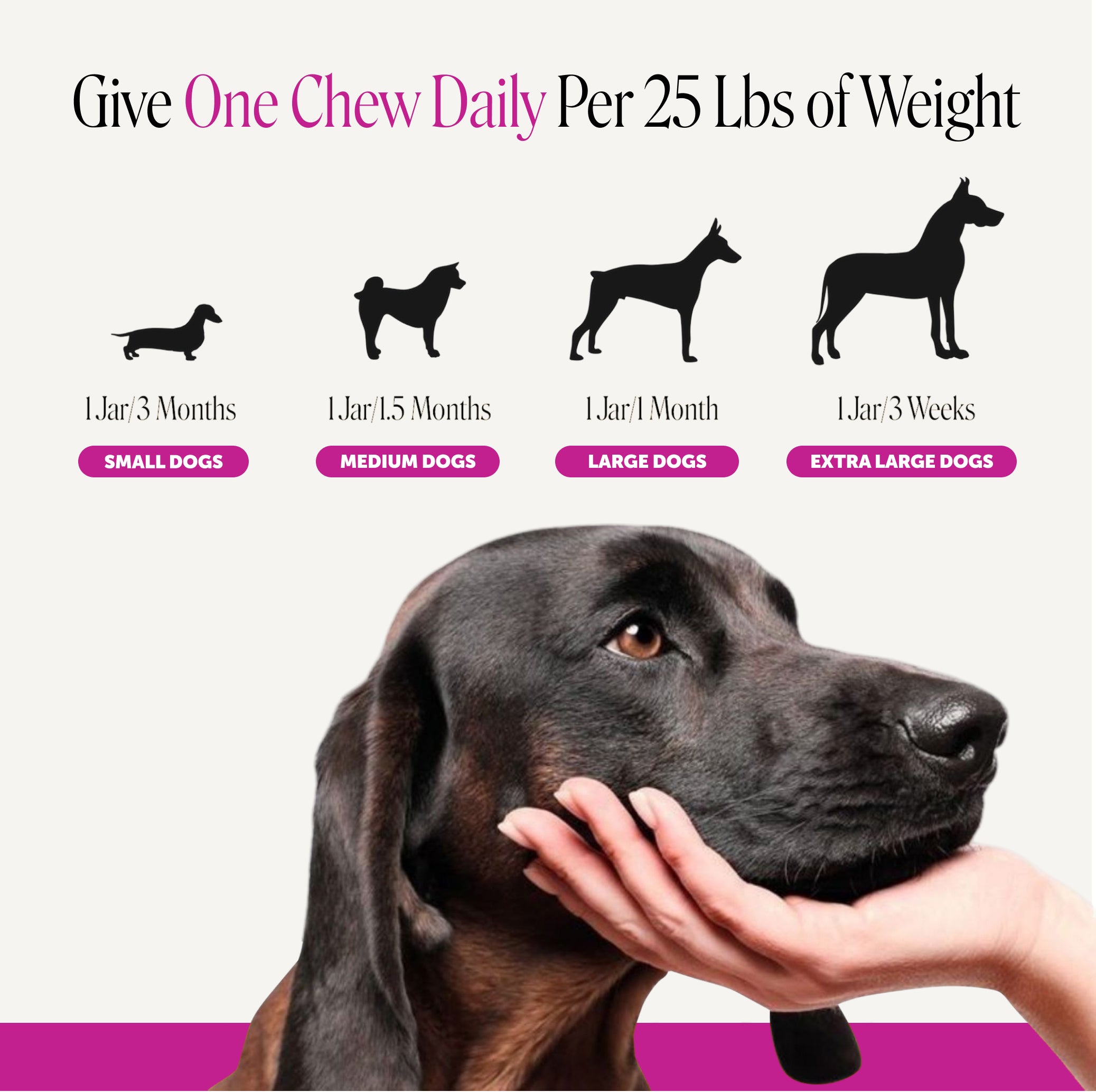 Multivitamin Max Strength for Dogs (Salmon Flavor)
