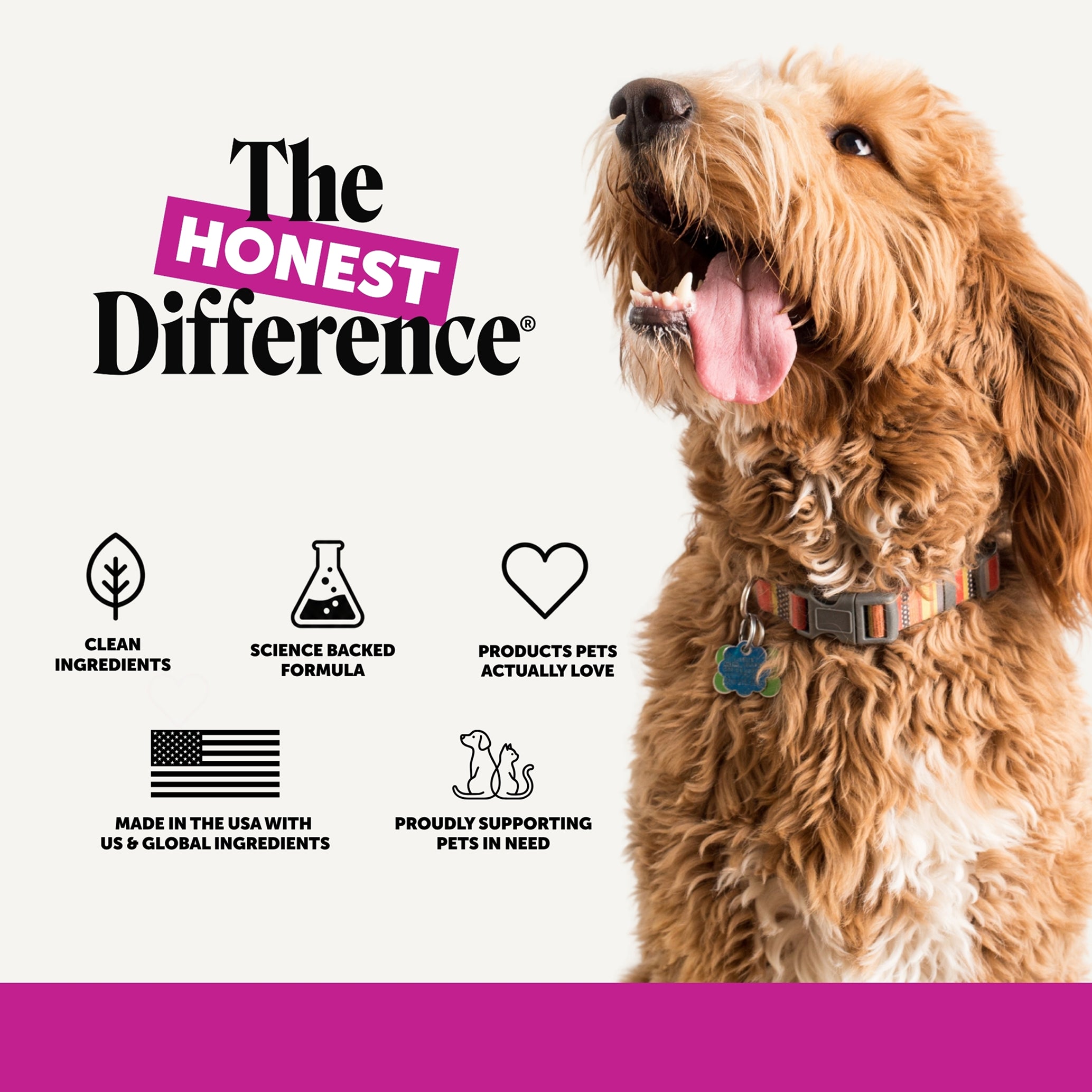 Puppy Multivitamin Chews (Bacon Flavor)