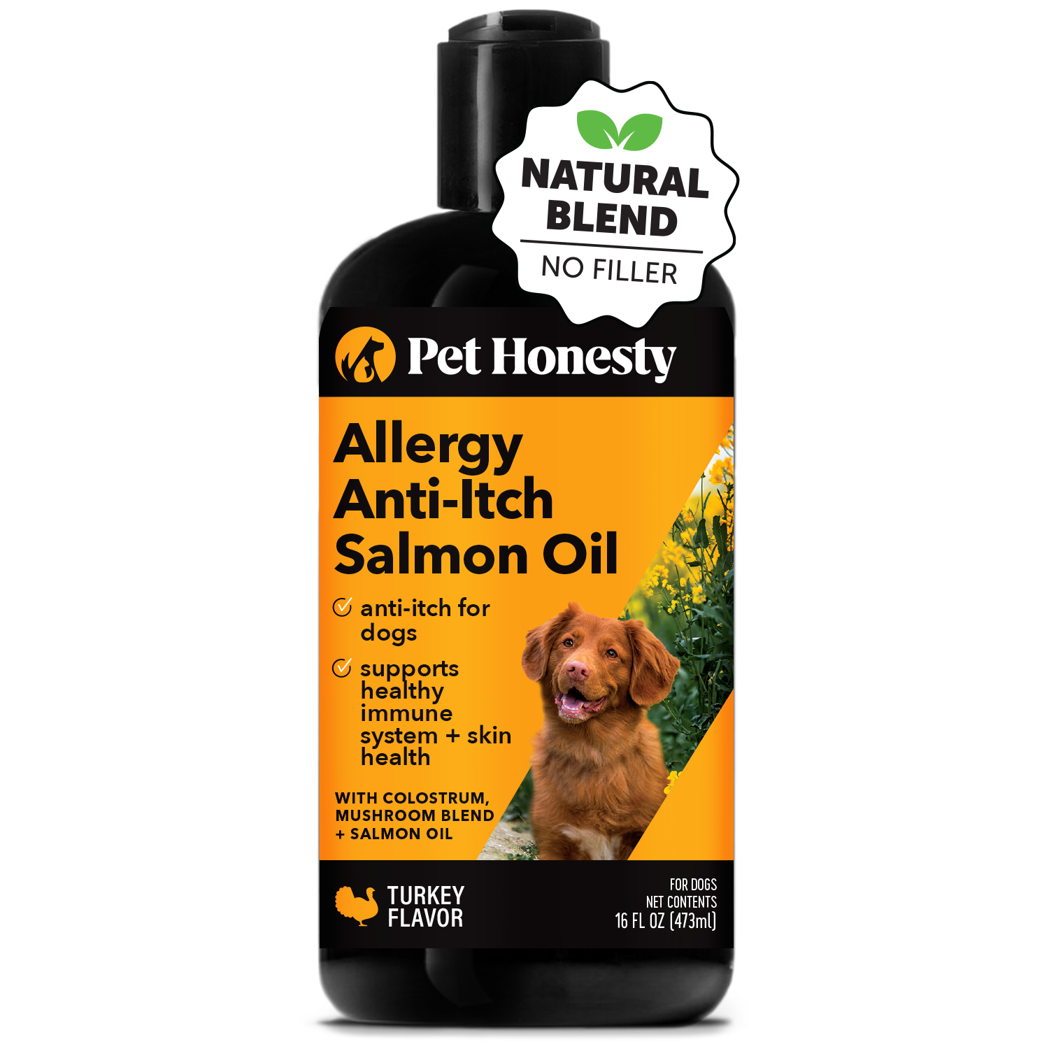 7 Ways to Relieve Your Dog s Itchy Skin Pet Honesty