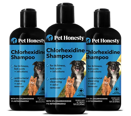 Chlorhexidine Shampoo 3-Pack (48 Ounces)