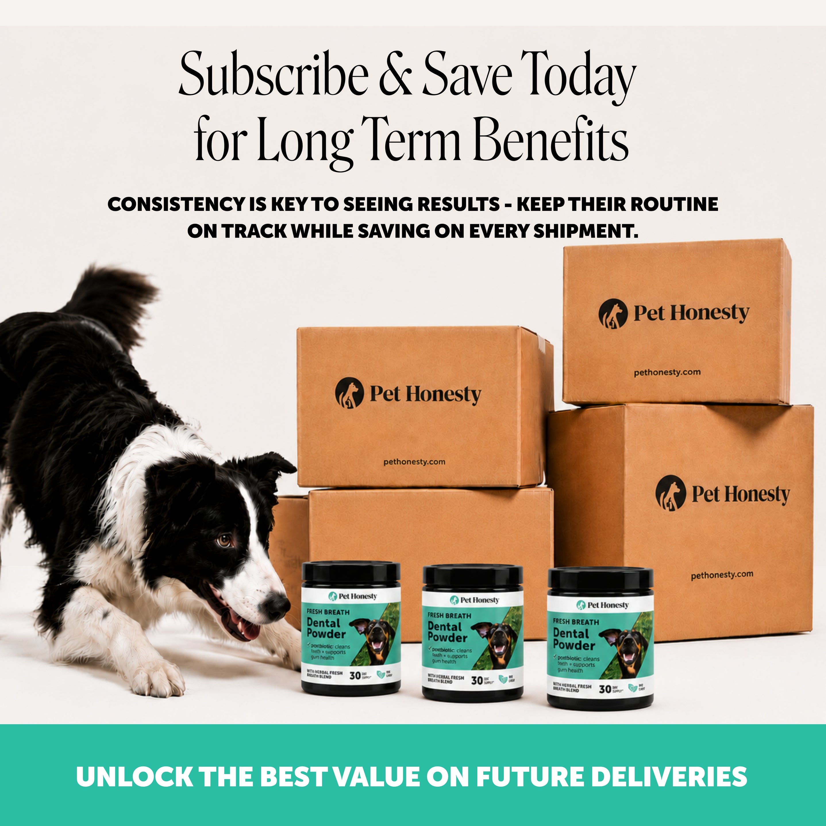 Fresh Breath Dental Powder for Dogs (30 servings)