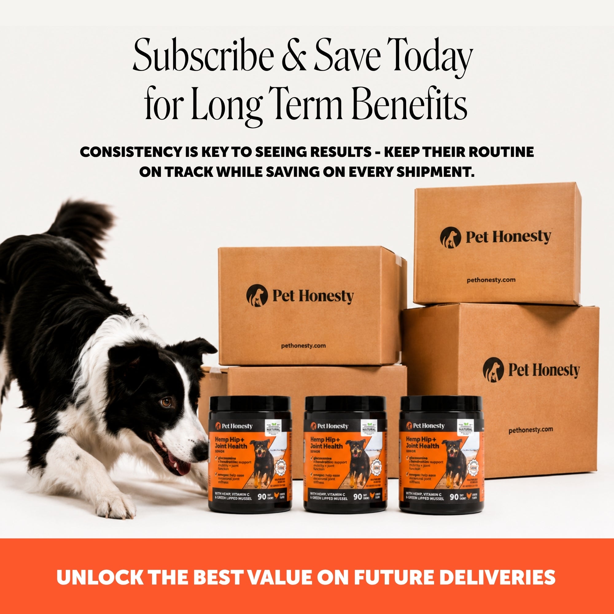 Hemp Hip + Joint Health Senior (Chicken Flavor)