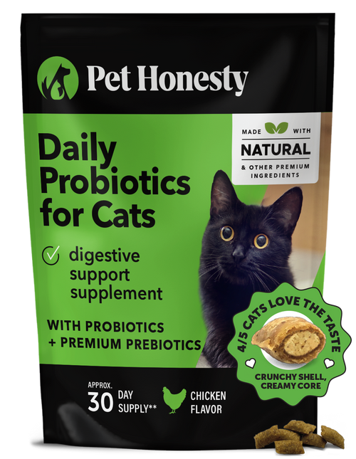 Cats online and probiotics