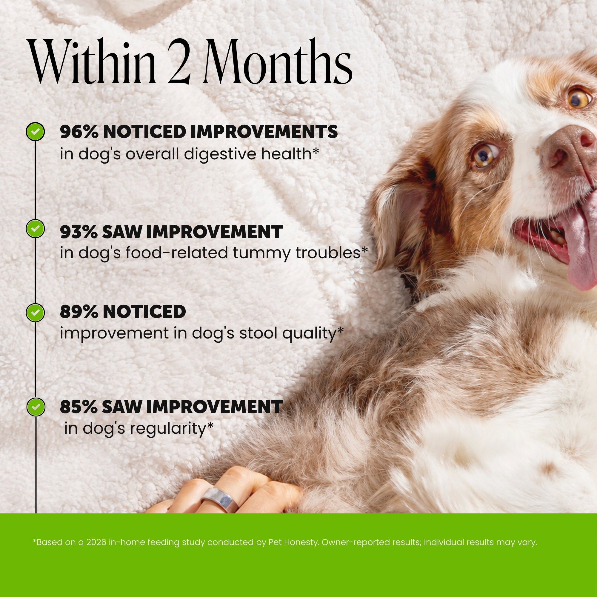 Gut + Immune Health Digestive Probiotic Chews for Dogs (Duck Flavor)