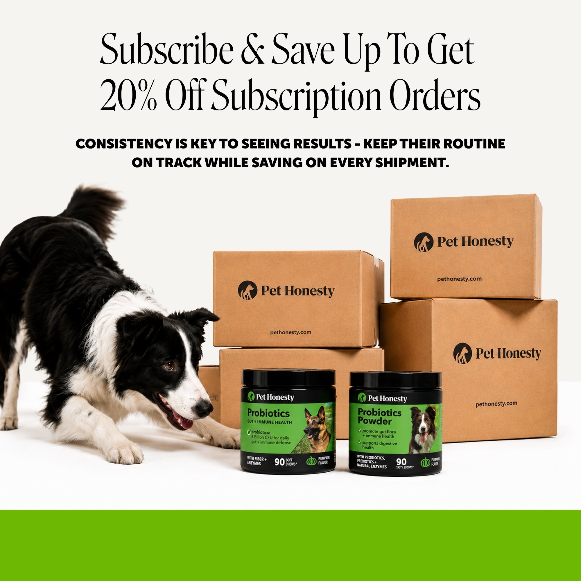 Gut + Immune Health Digestive Probiotic Chews for Dogs (Pumpkin Flavor)