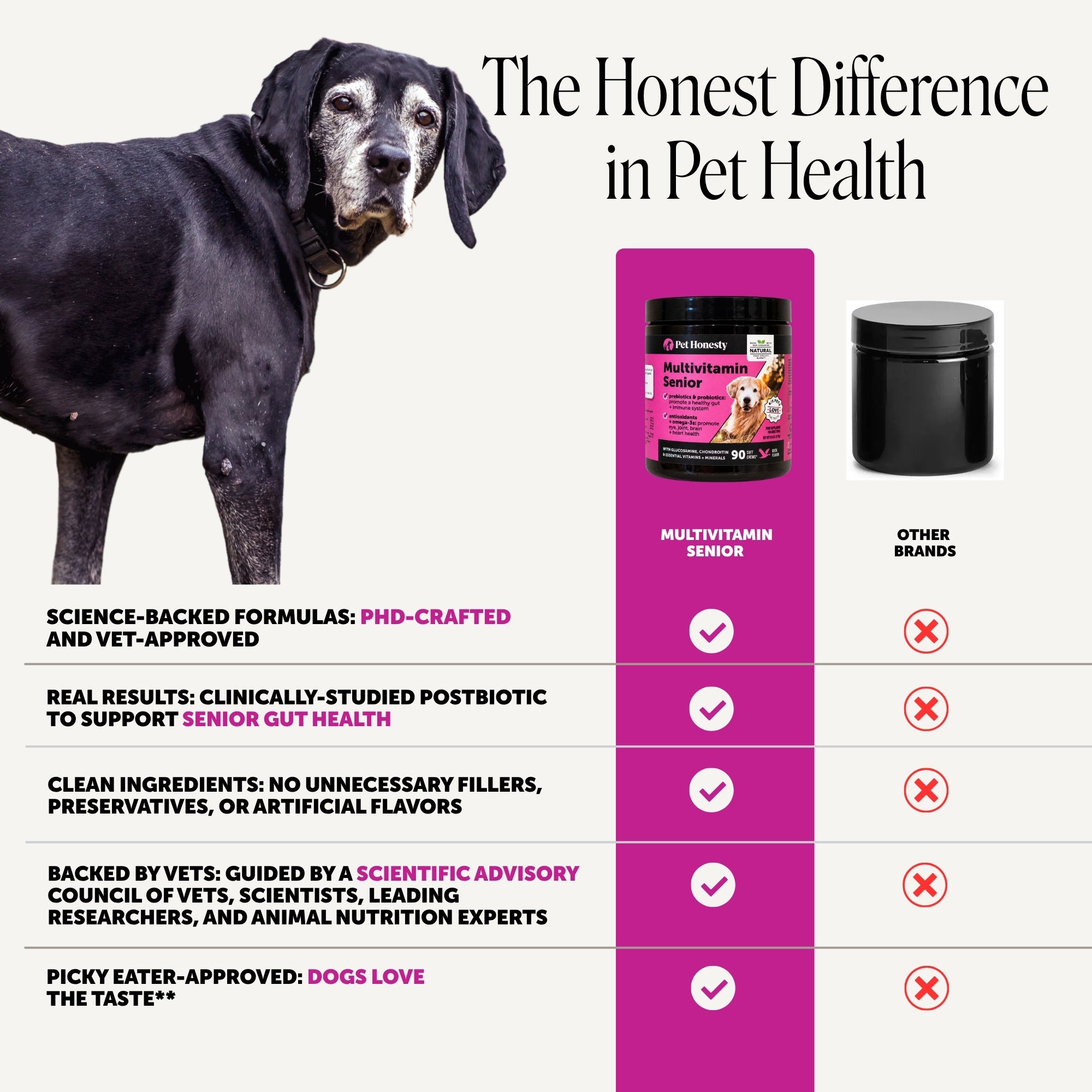 Multivitamin 10-in-1 Chews for Senior Dogs (Duck Flavor)