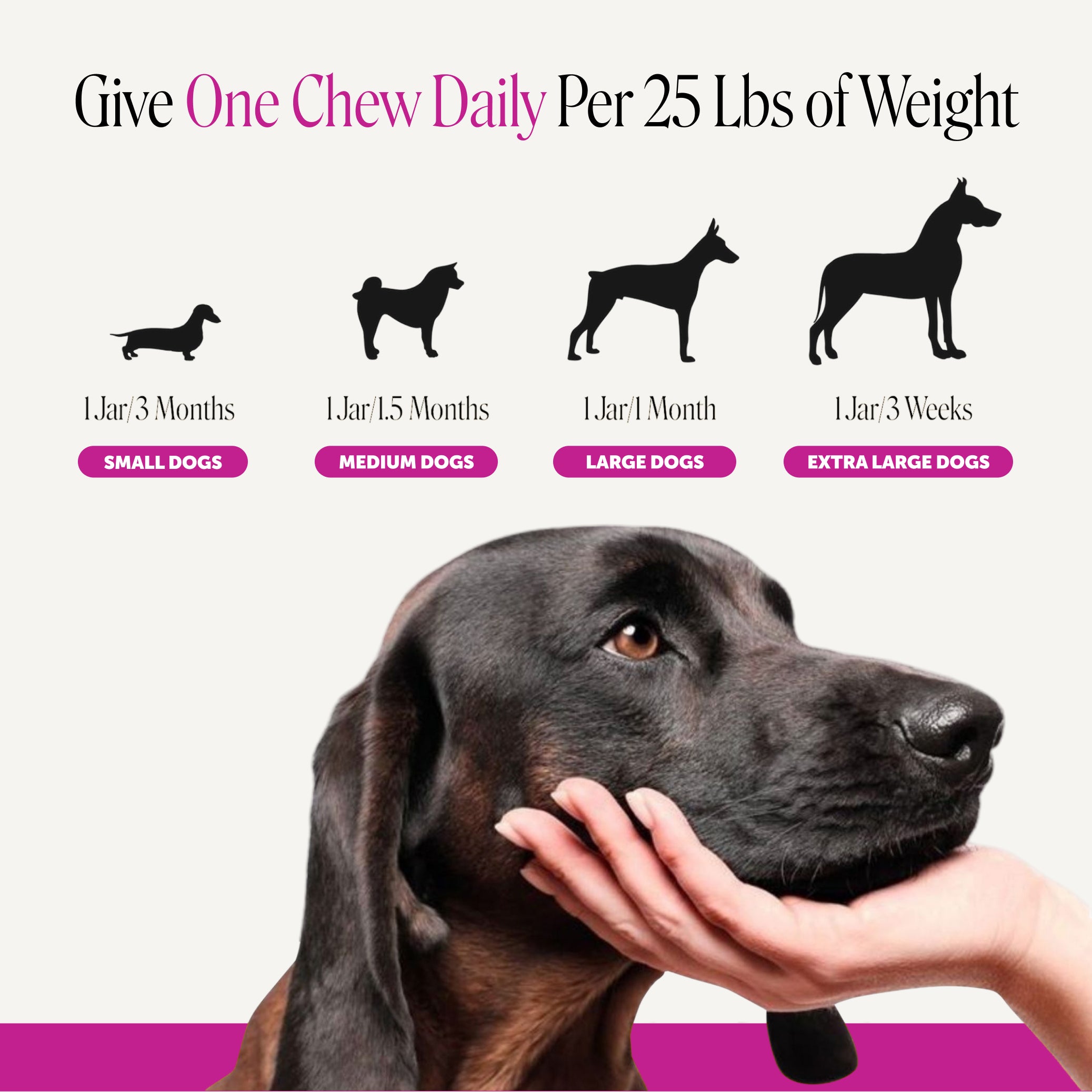 Multivitamin 10-in-1 Chews for Senior Dogs (Duck Flavor)