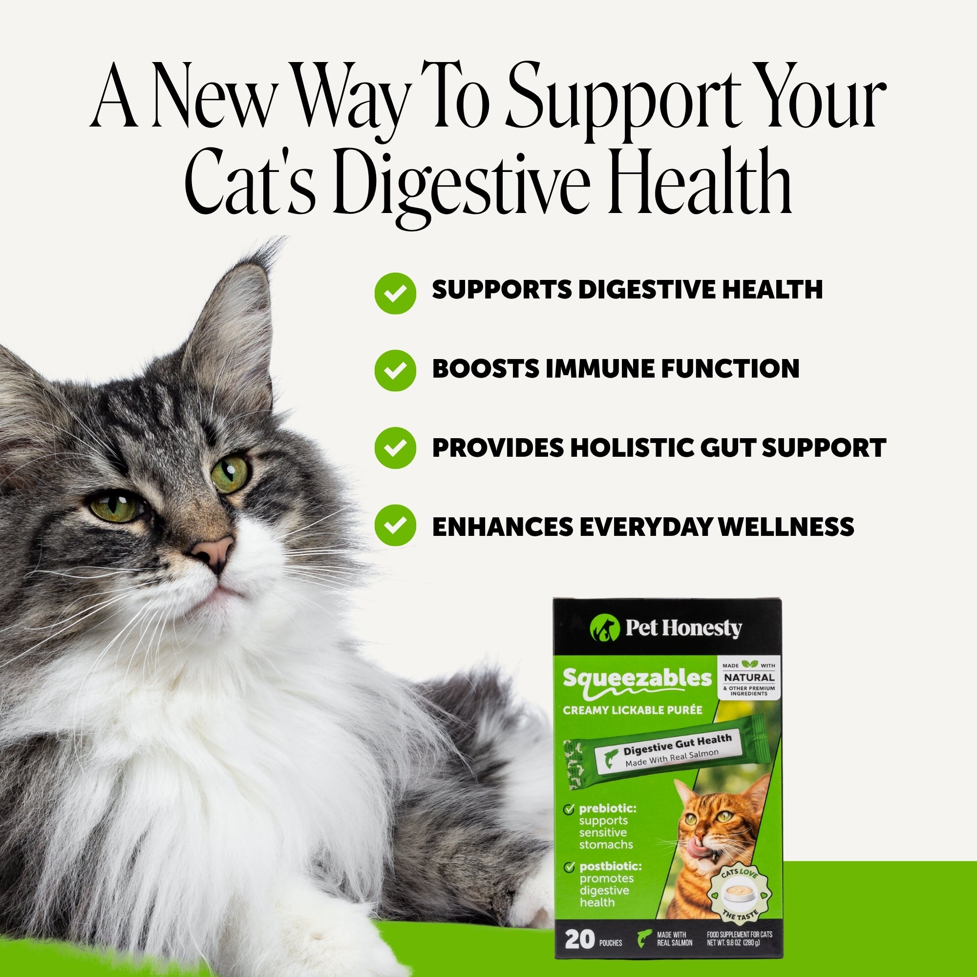 Squeezables Probiotics Gut + Immune Health Supplement for Cats, 20 Pouches