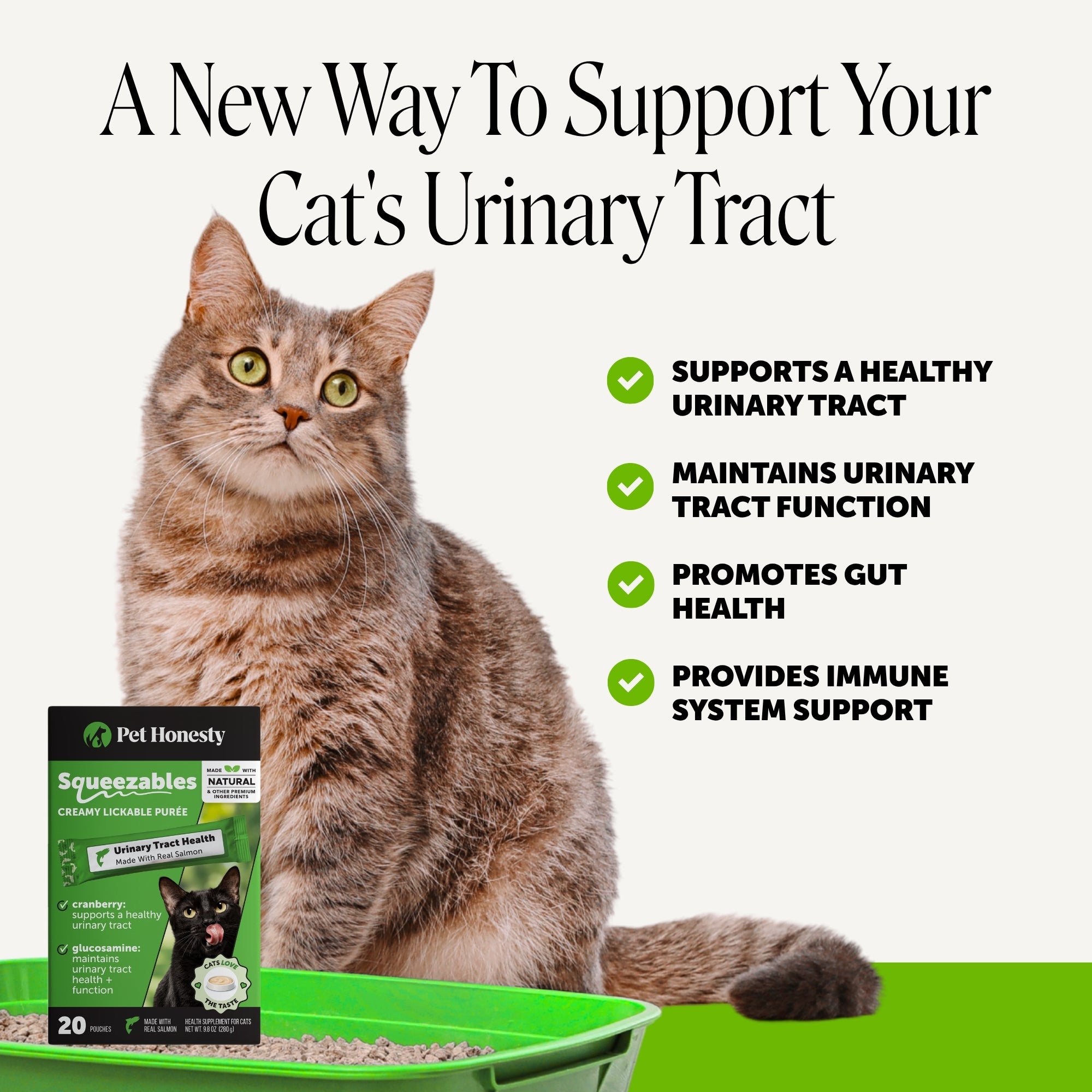 Squeezables Urinary Tract Health Supplement for Cats, 20 Pouches
