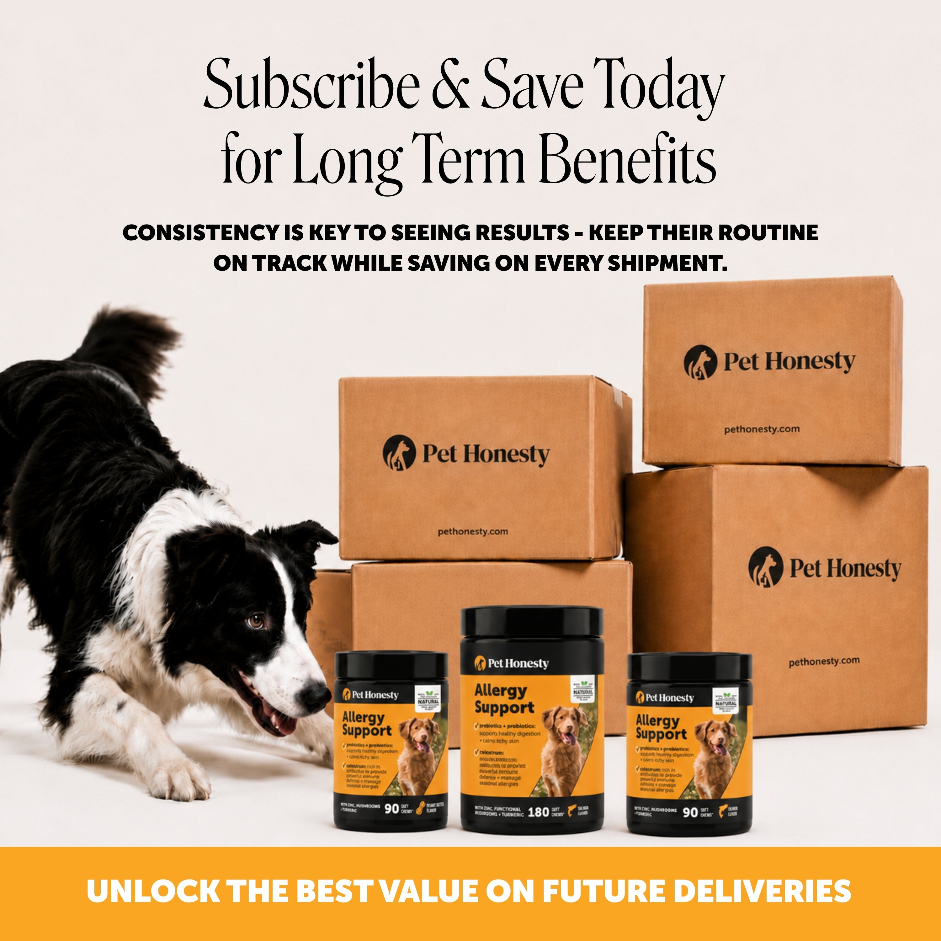 Allergy Support Chews for Dogs (Salmon Flavor)