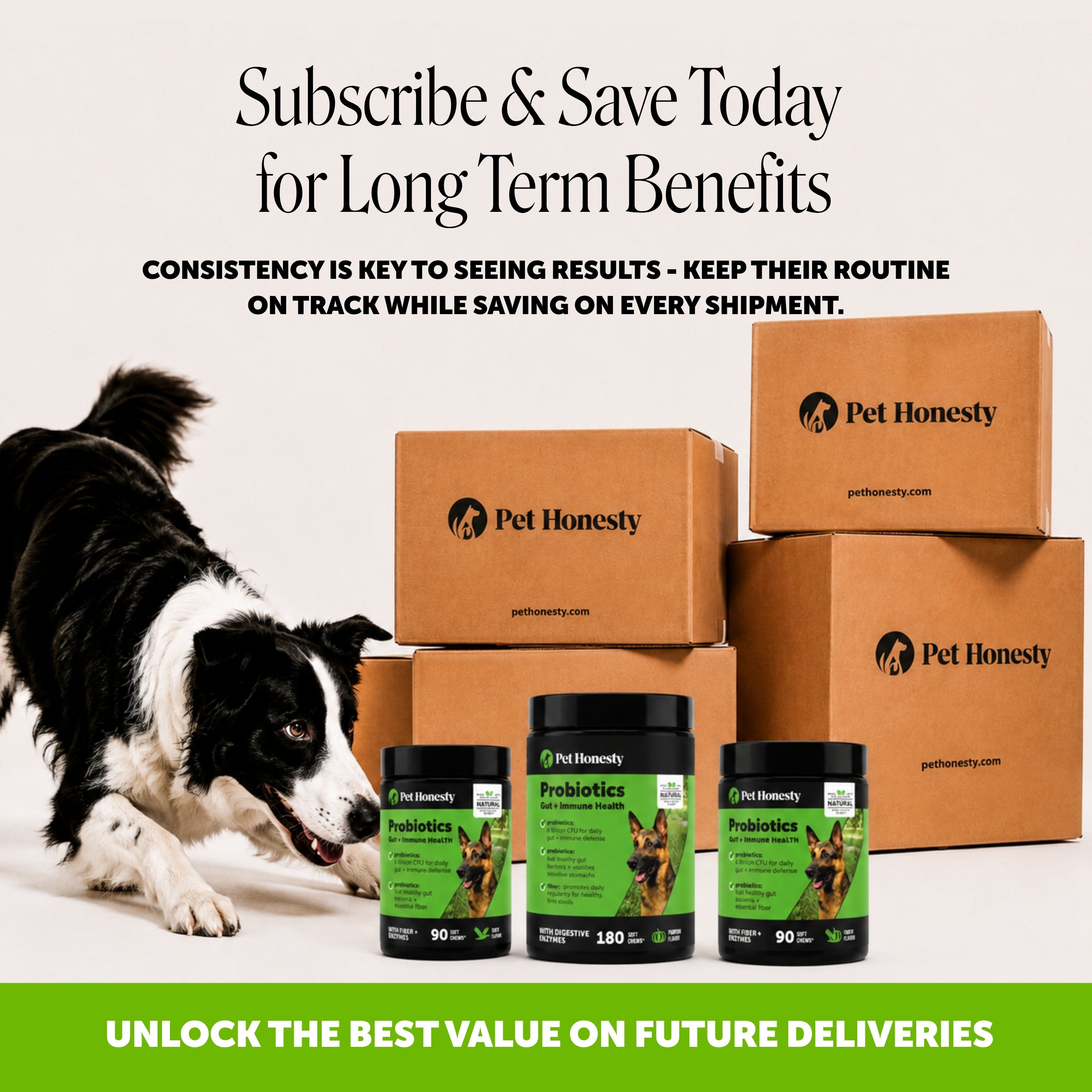Gut + Immune Health Digestive Probiotic Chews for Dogs (Duck Flavor)