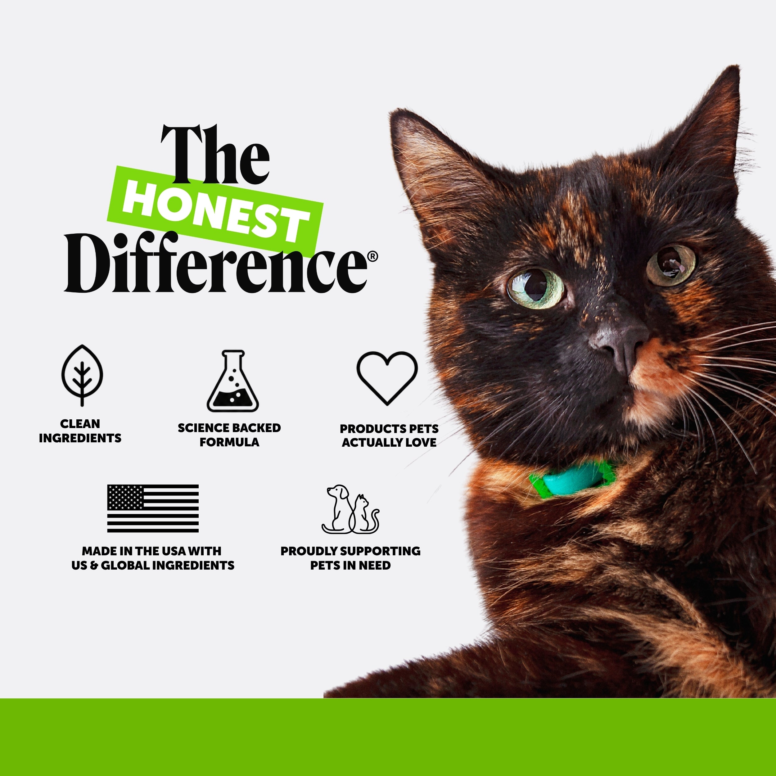 Dual Texture Hairball Support Supplement for Cats 2-Pack (Tuna Flavor)
