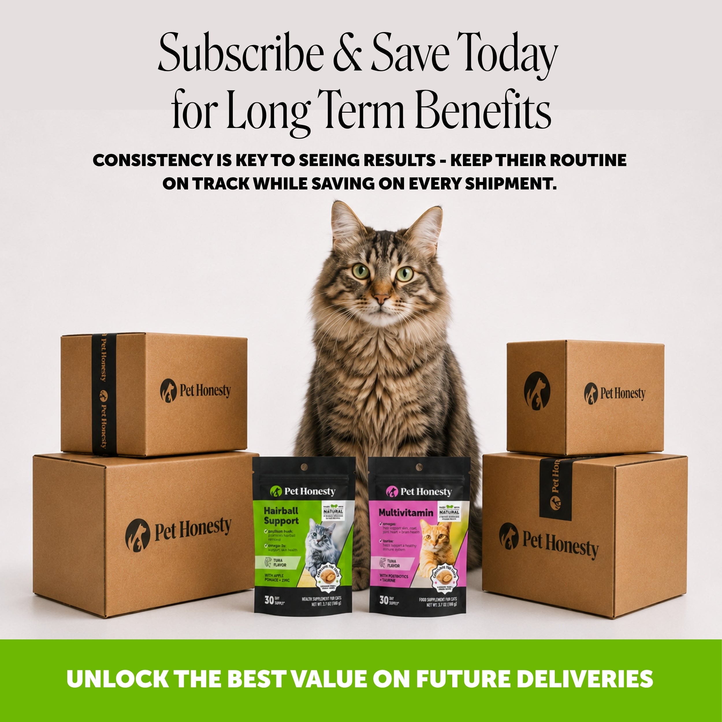 Dual Texture Hairball Support Supplement for Cats 2-Pack (Tuna Flavor)