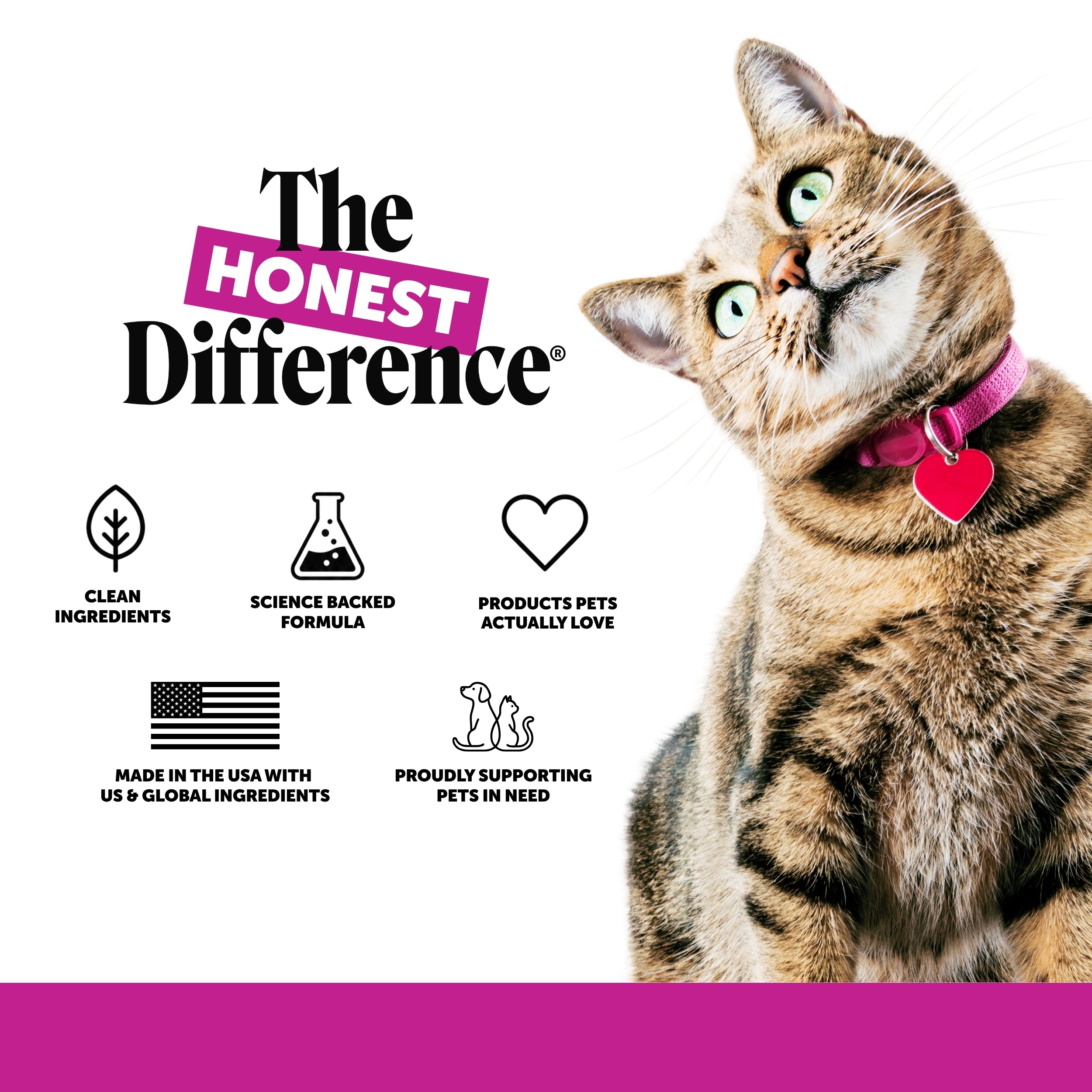 Dual Texture Multivitamin for Cats 2-Pack (Tuna Flavor)