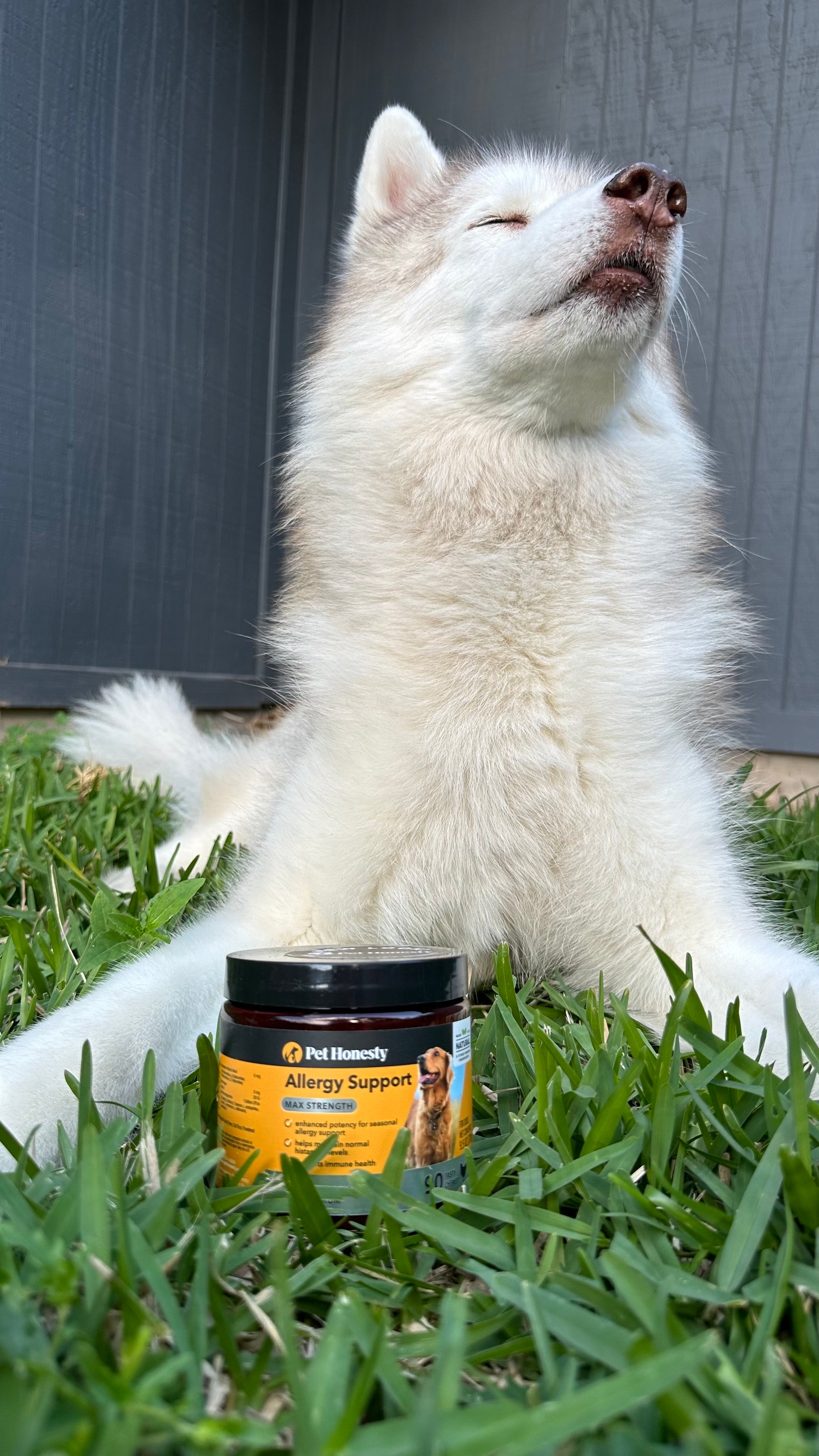 Ultimate Itch Relief Bundle