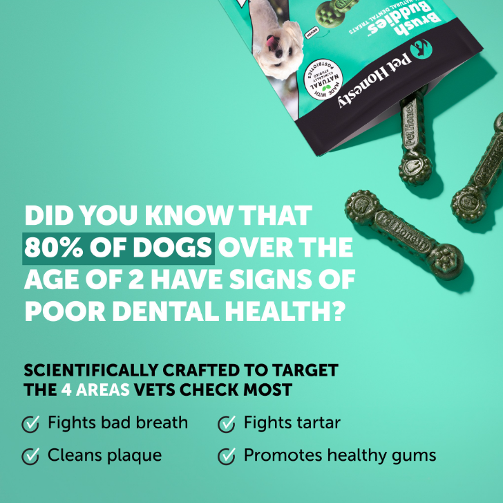Brush Buddies All-Natural + Long Lasting Dental Treats for Extra Small Sized Dogs - 3 Pack (120 Count)