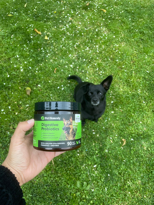 Adult Dog AntiItch Bundle PetHonesty PetHonesty