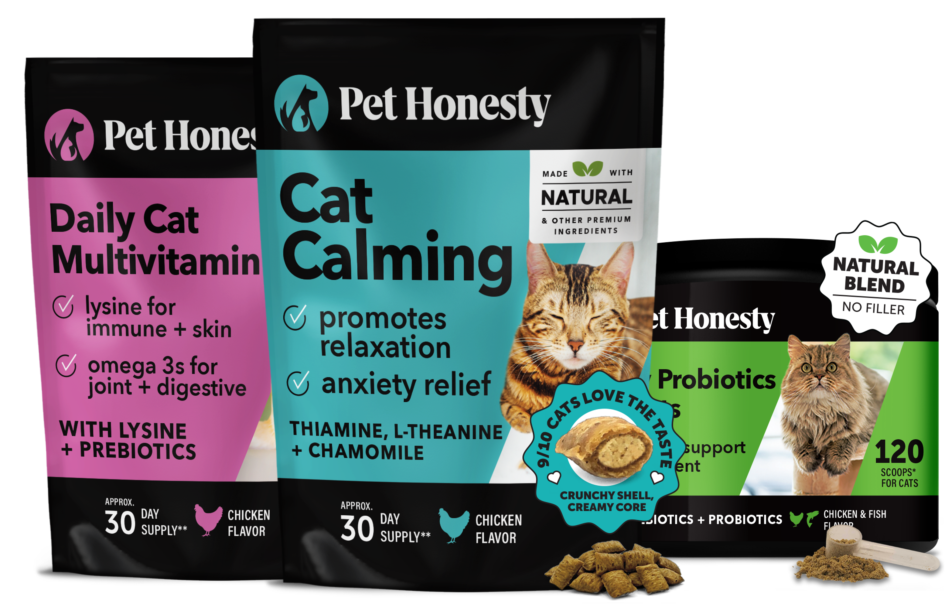 Healthy Kitten Essentials Bundle