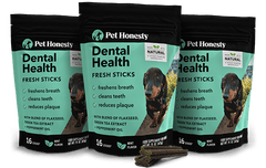 Dental Health Fresh Sticks 3-Pack (Mint Flavor)