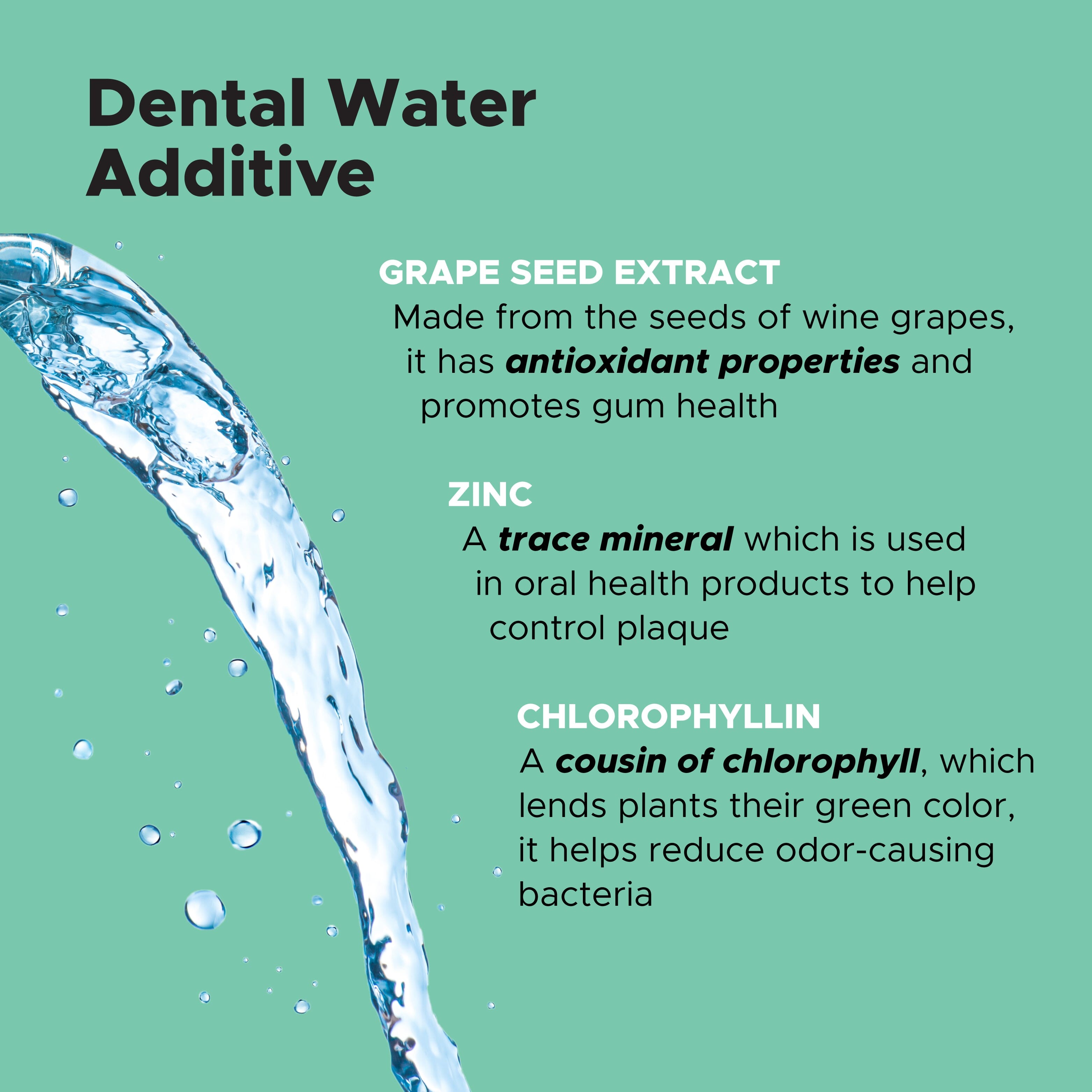 Oral Hygiene Dental Water 3-Pack (24 Ounces) 3-Packs PetHonesty 