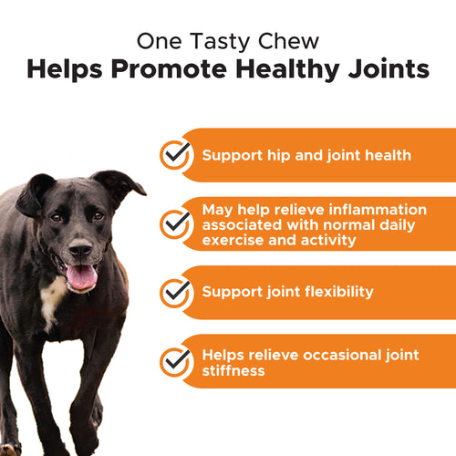 Hip + Joint Health Turmeric Supplement for Dogs PetHonesty PetHonesty